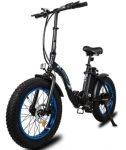 Dolphin electric bicycle Public rating EBA
